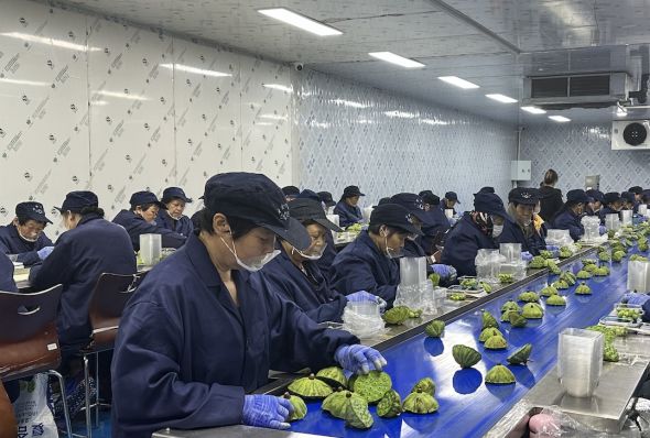 “奶奶侨助工坊”车间内工作的奶奶们。