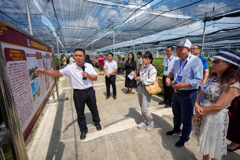 9月9日，海南省东方市大田镇乐妹村的兰花种植基地大棚里，海外华媒深入了解乐妹村近年发展特色兰花产业的思路。中新网记者 骆云飞 摄