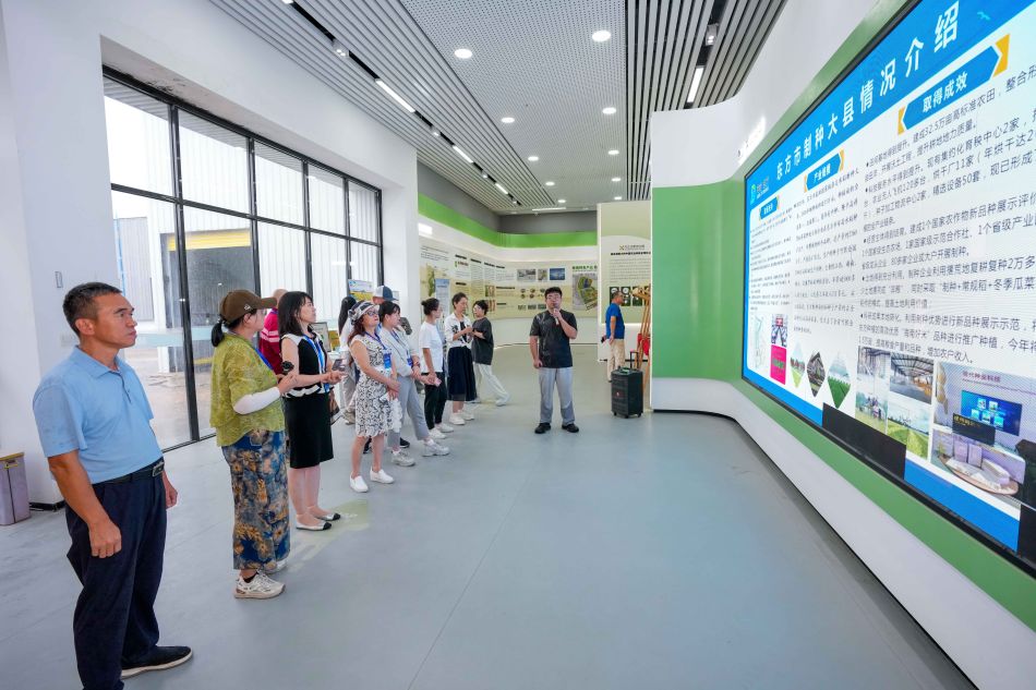 9月9日，参加“追梦中华·侨见自贸港”2026海外华文媒体海南采访行活动的海外华媒记者，走进海南省东方南繁水稻制种现代农业产业园。中新网记者 骆云飞 摄